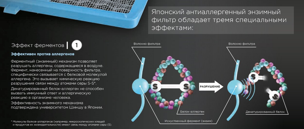 msz-bt